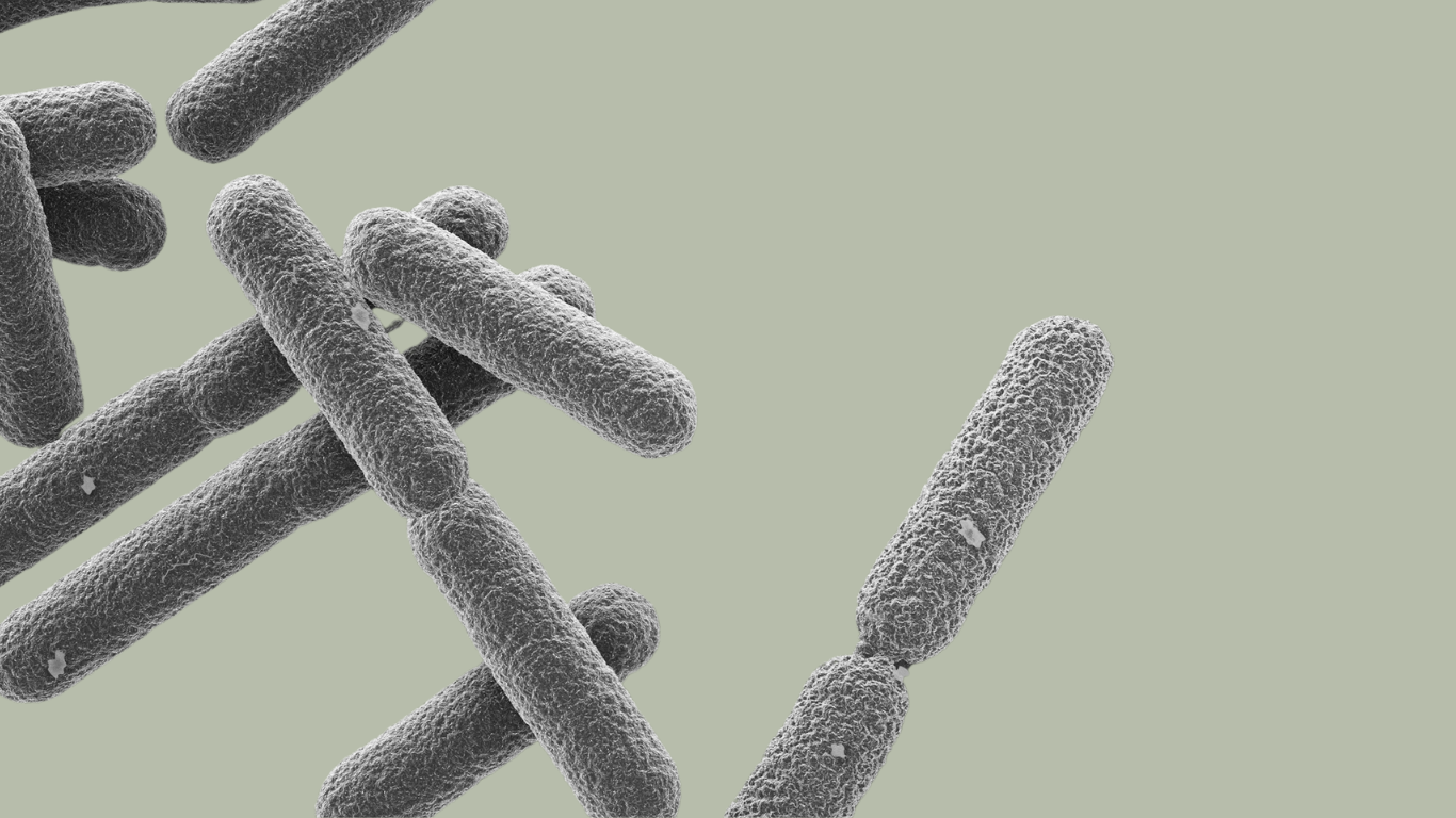 Microbiome 101