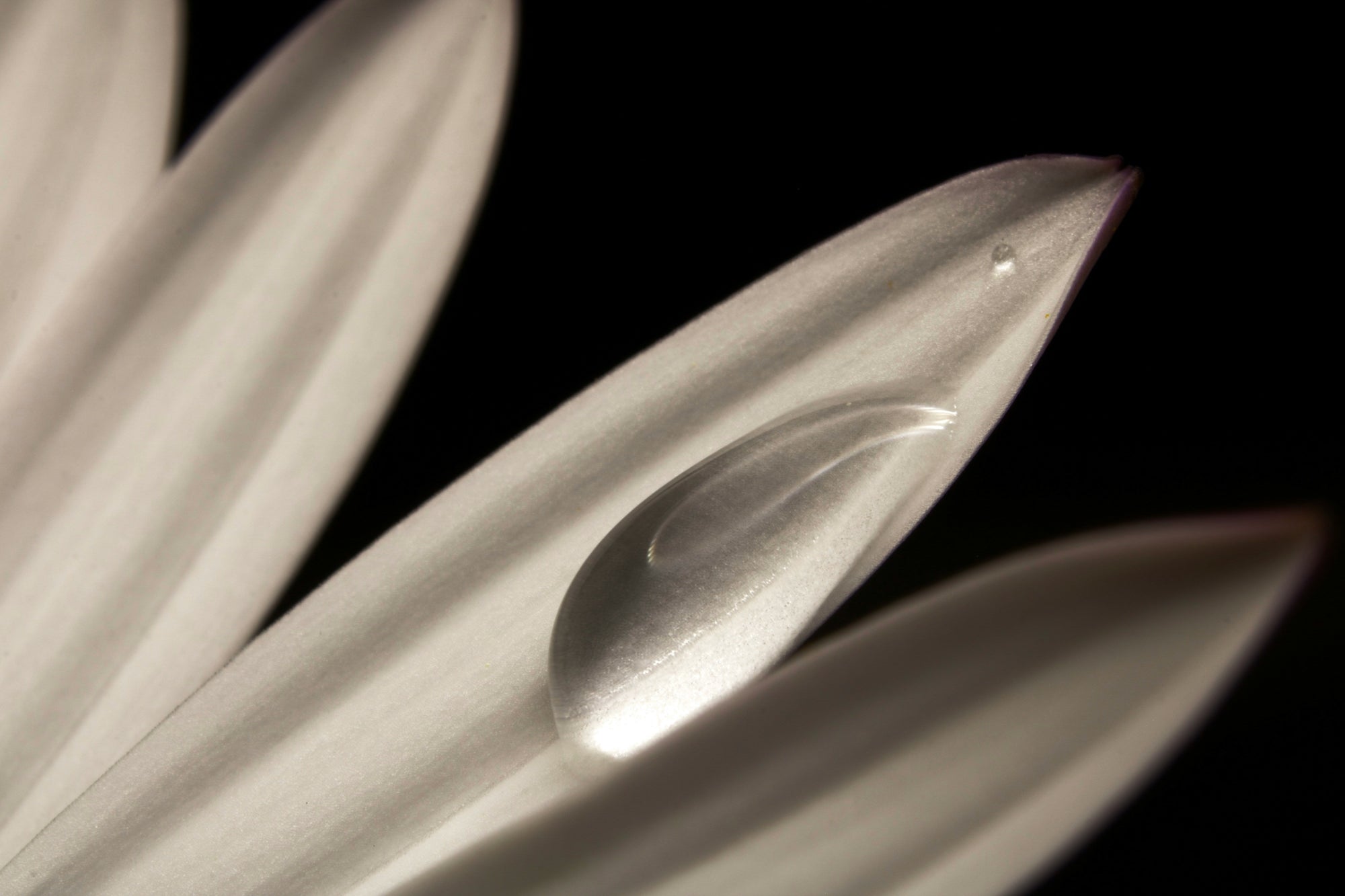 The power of fragrance-free